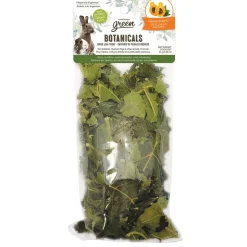 Botanicals Dried Papaya Leaf Small Animal Treats