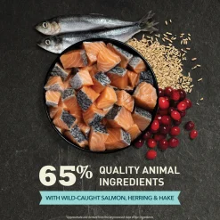 Bountiful Catch Cat Food