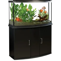 Bow Front Black Aquarium Cabinet