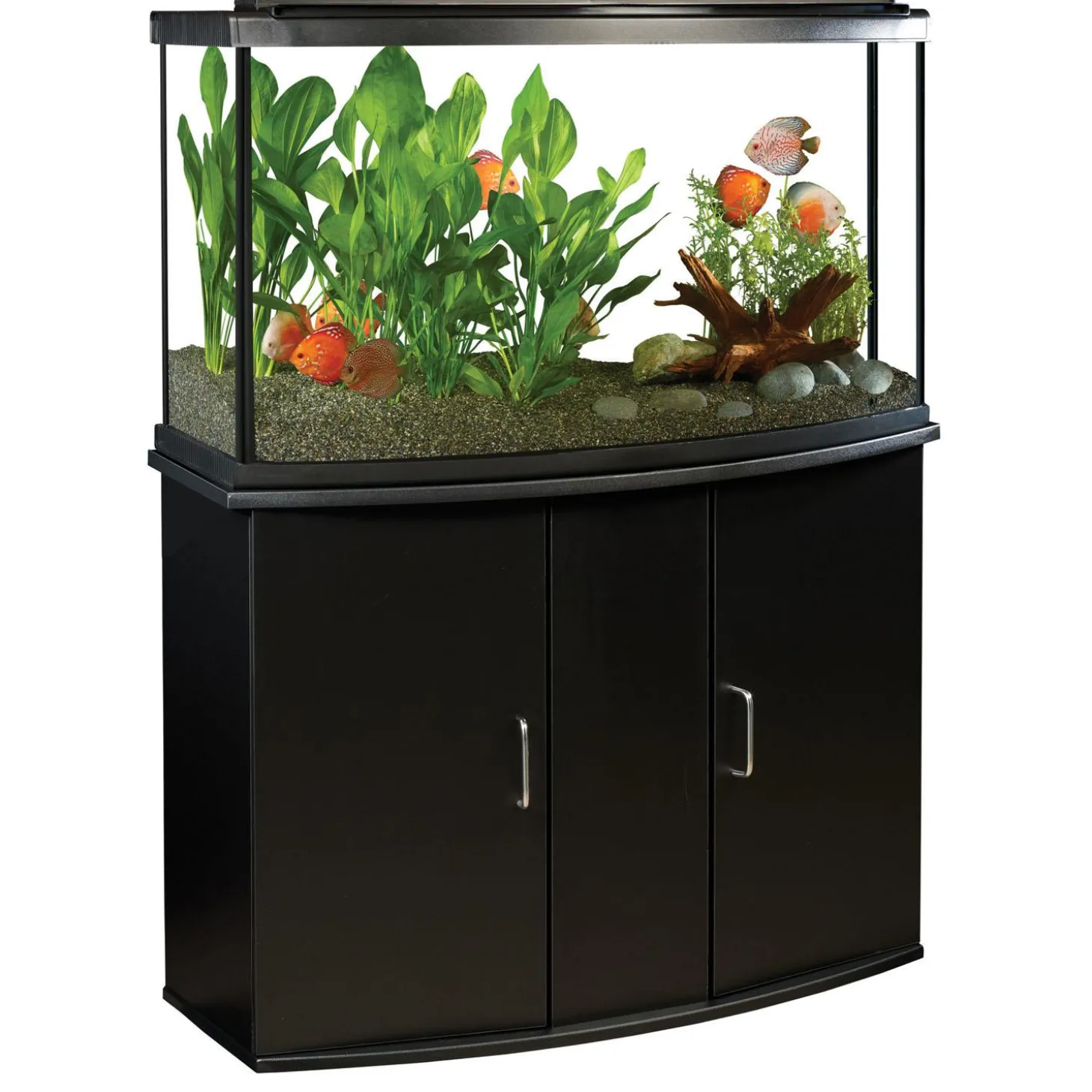 Bow Front Black Aquarium Cabinet