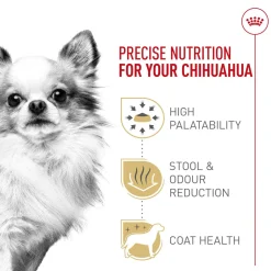 Breed Health Nutrition Chihuahua Adult Dog Food