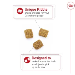 Breed Health Nutrition Dachshund Puppy Dog Food