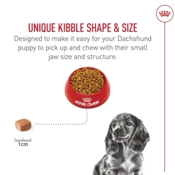 Breed Health Nutrition Dachshund Puppy Dog Food