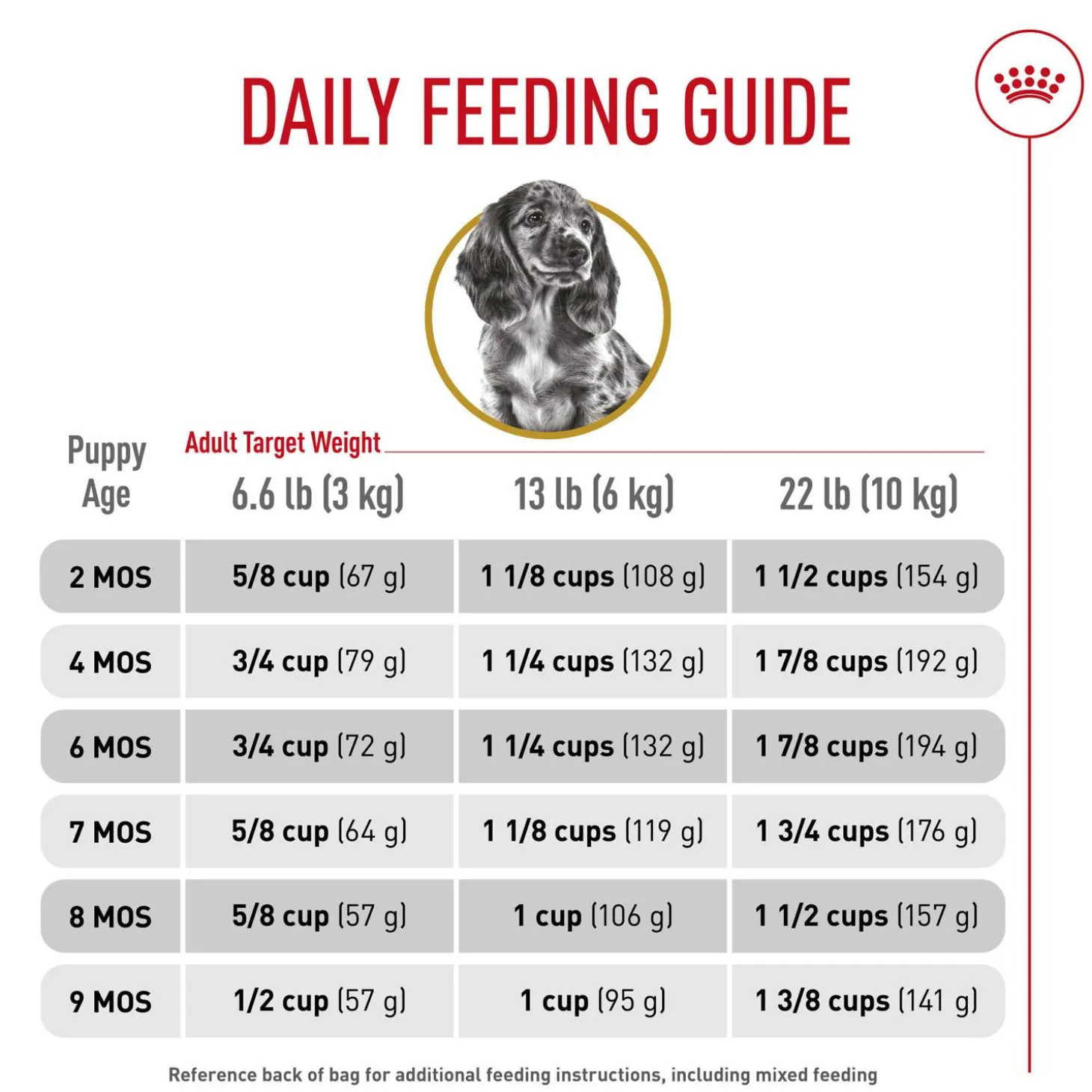 Breed Health Nutrition Dachshund Puppy Dog Food