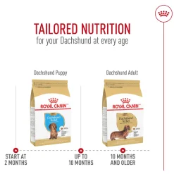 Breed Health Nutrition Dachshund Puppy Dog Food