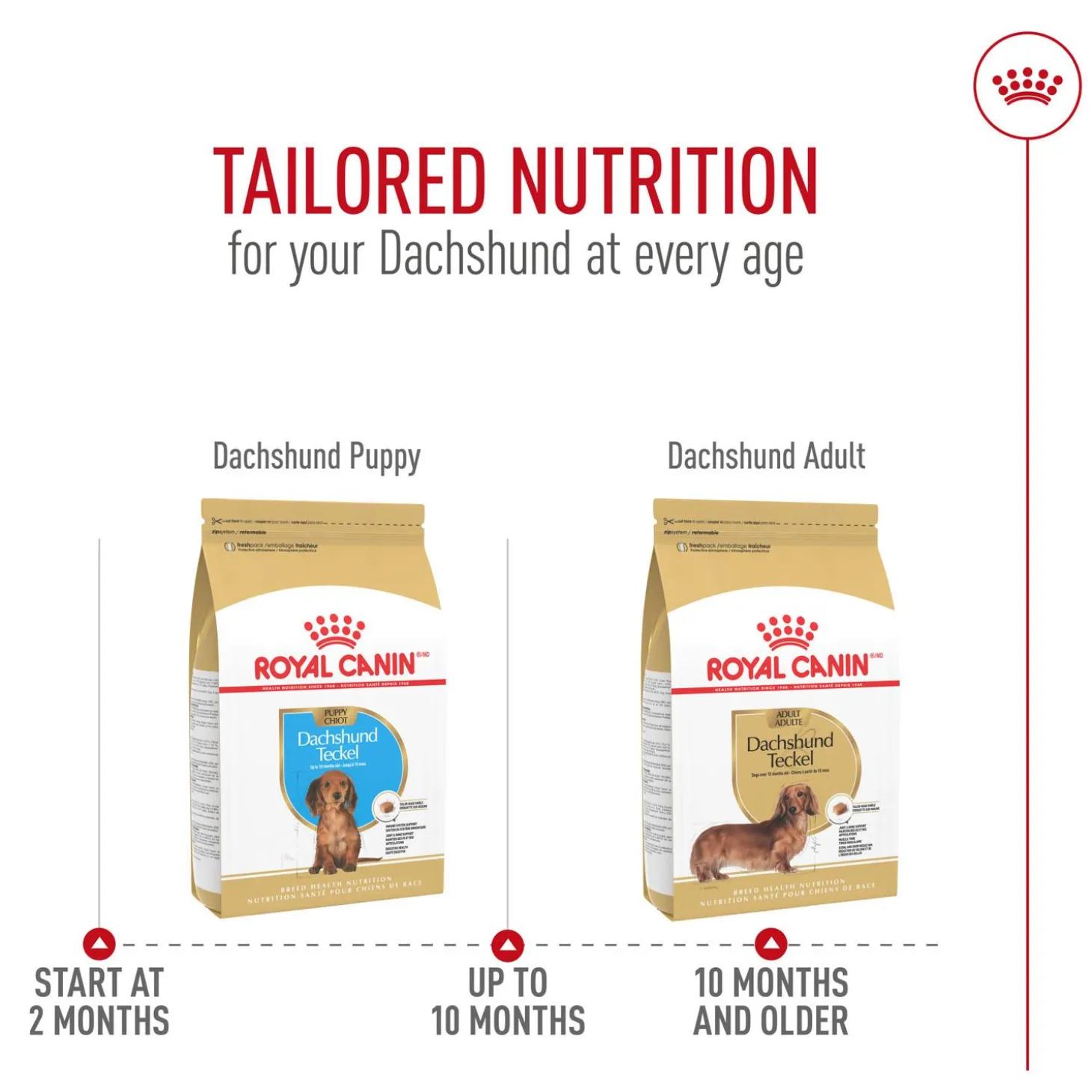 Breed Health Nutrition Dachshund Puppy Dog Food