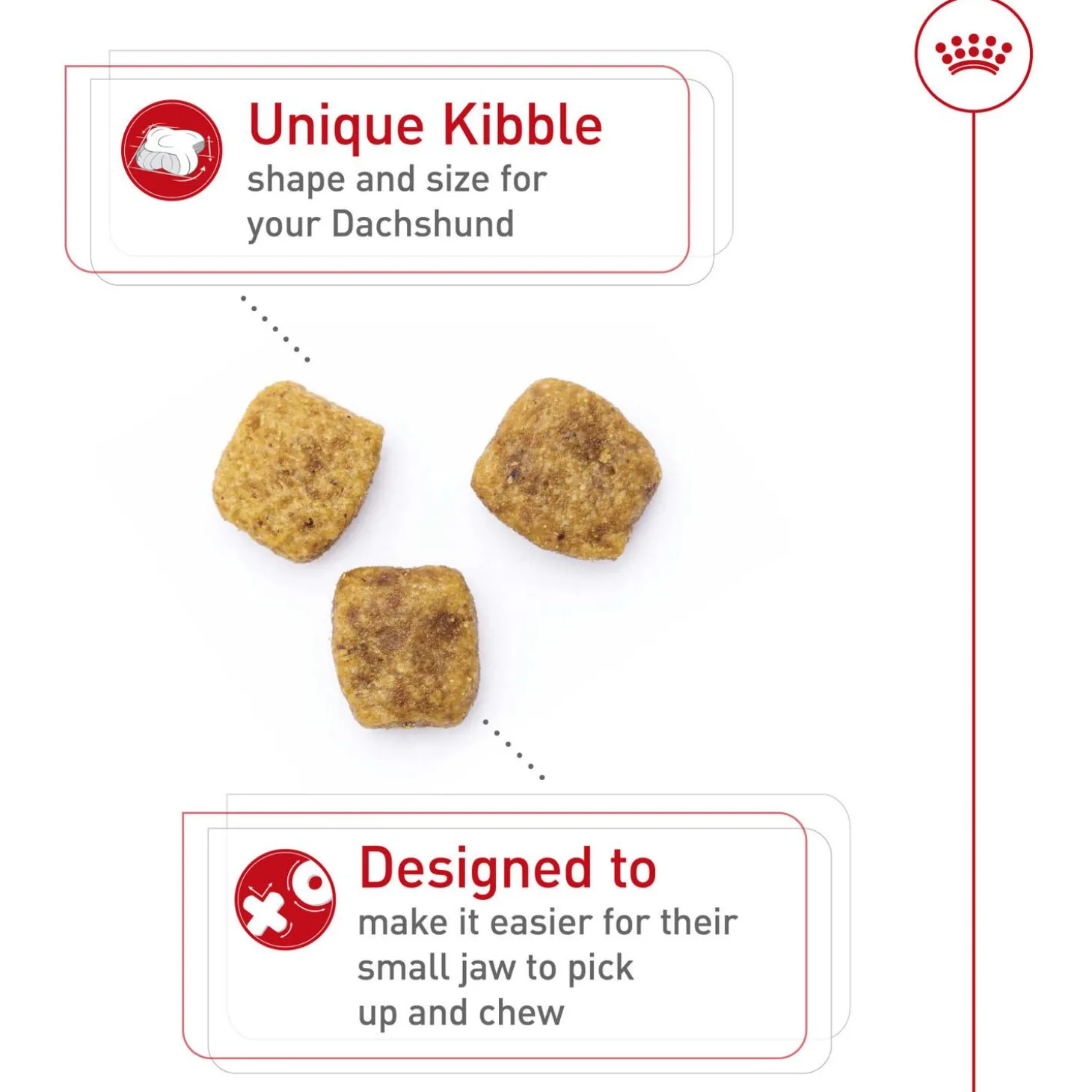 Breed Health Nutrition Dachshund Adult Dog Food