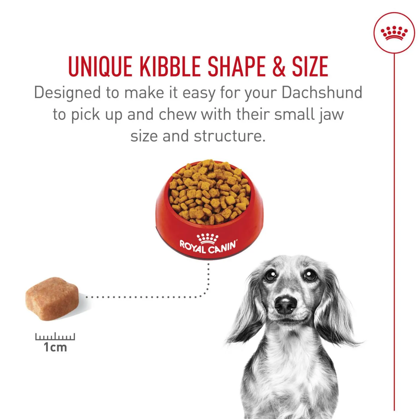 Breed Health Nutrition Dachshund Adult Dog Food