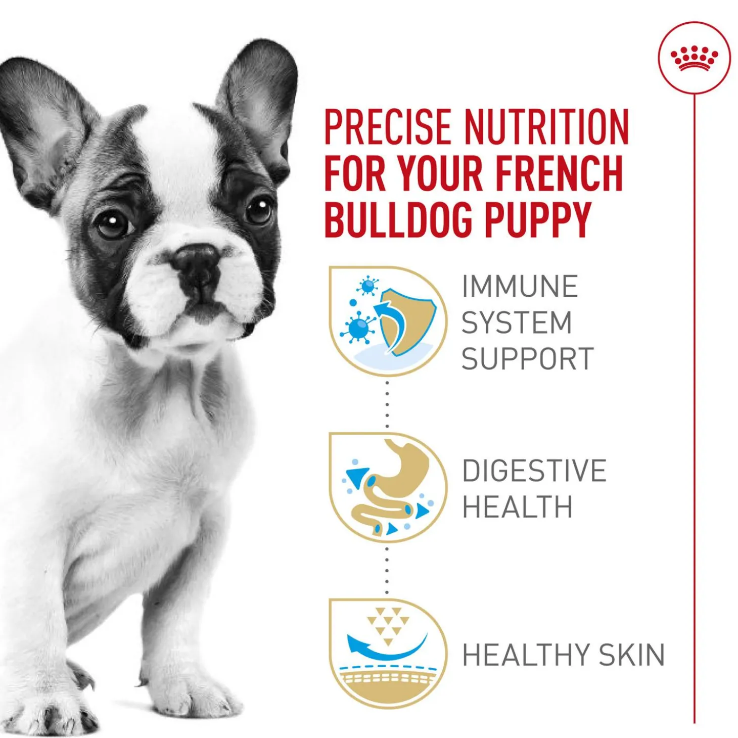Breed Health Nutrition French Bulldog Puppy Dog Food