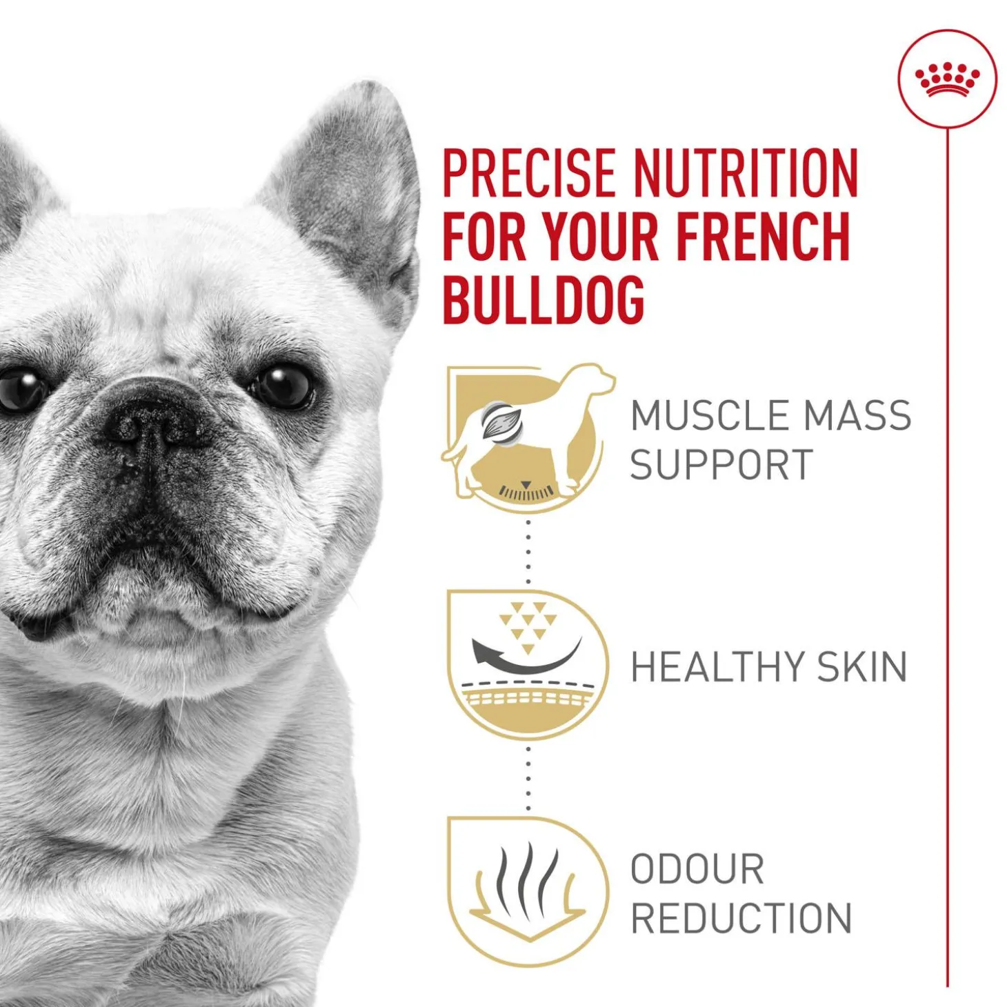Breed Health Nutrition French Bulldog Adult Dog Food