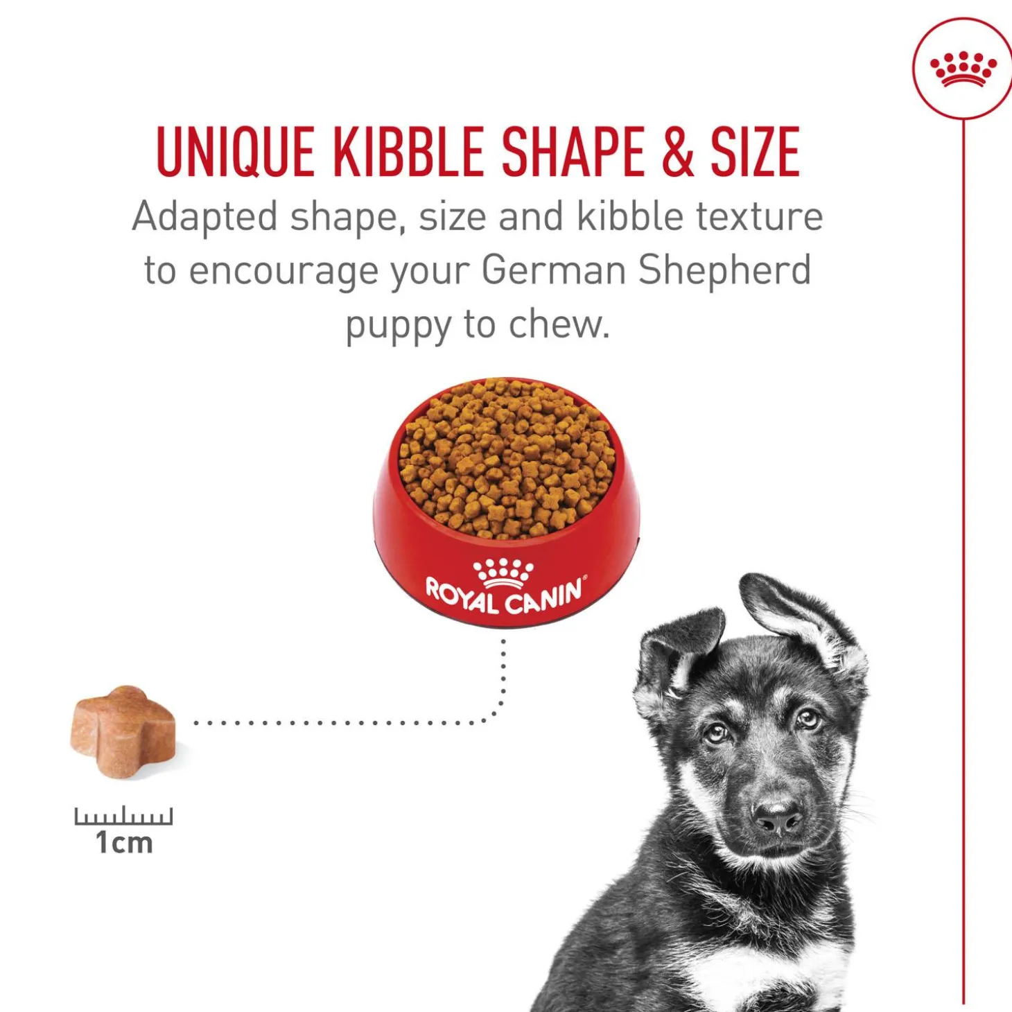 Breed Health Nutrition German Shepherd Puppy Dog Food