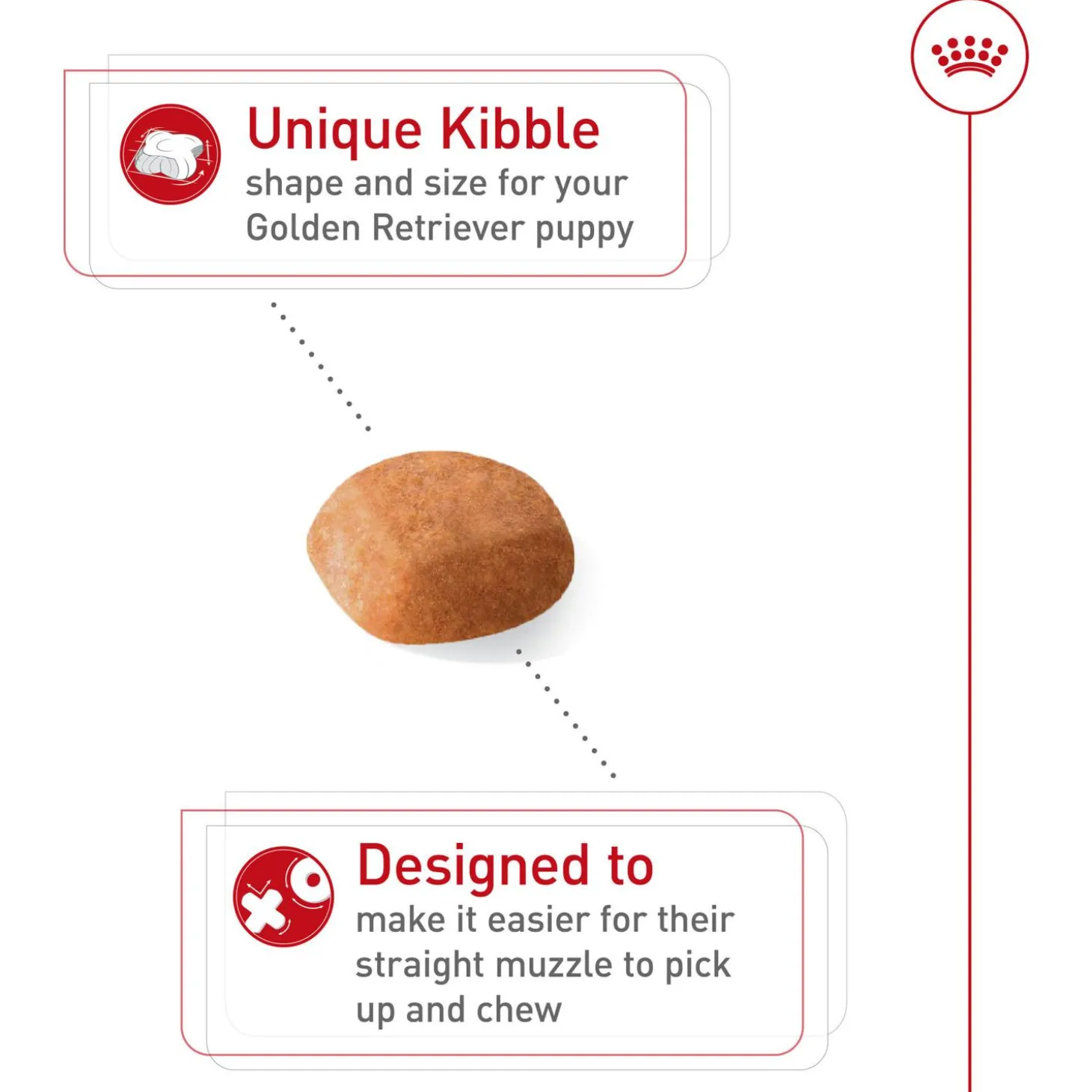 Breed Health Nutrition Golden Retriever Puppy Dog Food