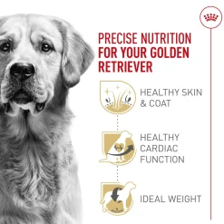 Breed Health Nutrition Golden Retriever Adult Dog Food