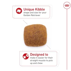 Breed Health Nutrition Golden Retriever Adult Dog Food