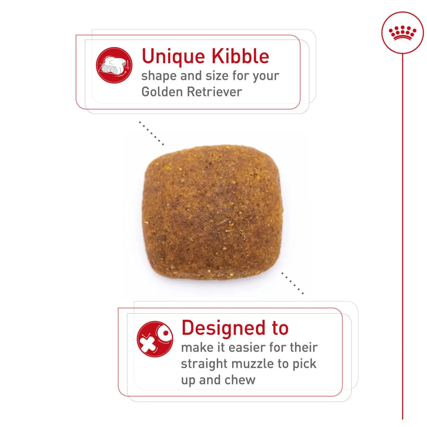 Breed Health Nutrition Golden Retriever Adult Dog Food