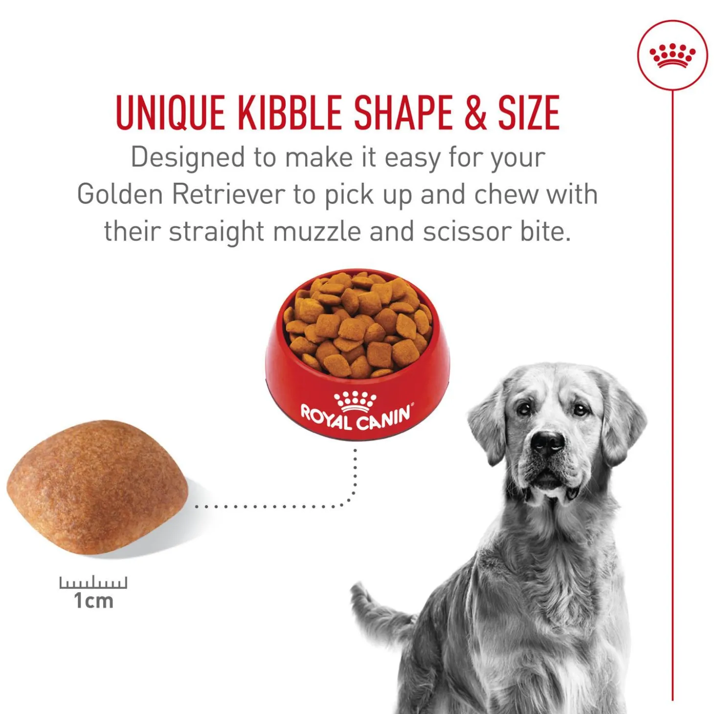 Breed Health Nutrition Golden Retriever Adult Dog Food