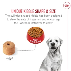 Breed Health Nutrition Labrador Retriever Adult Dog Food