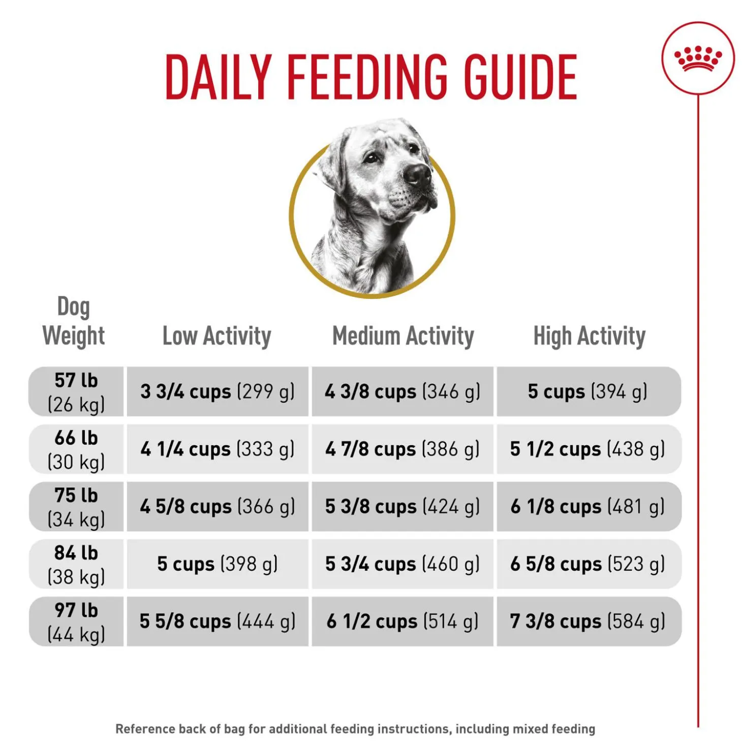 Breed Health Nutrition Labrador Retriever Adult Dog Food