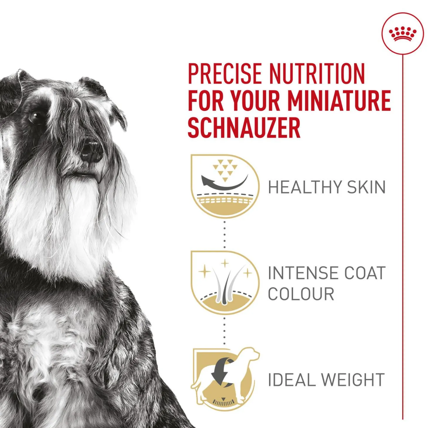 Breed Health Nutrition Miniature Schnauzer Adult Dog Food