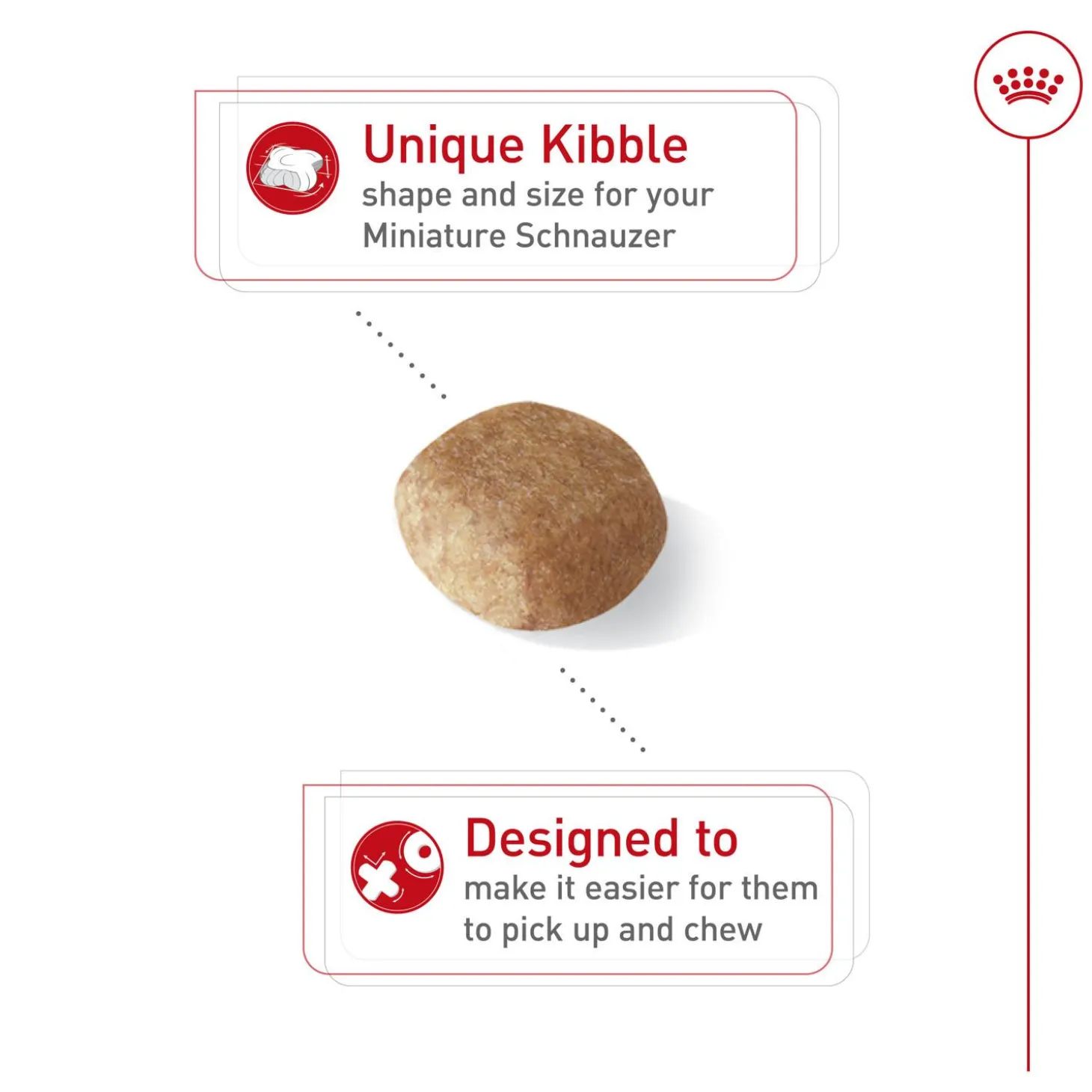 Breed Health Nutrition Miniature Schnauzer Adult Dog Food