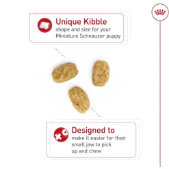 Breed Health Nutrition Miniature Schnauzer Puppy Dog Food