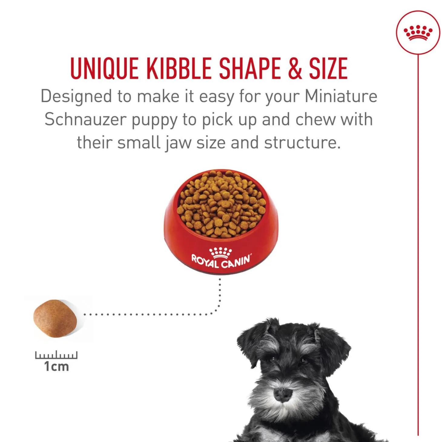 Breed Health Nutrition Miniature Schnauzer Puppy Dog Food