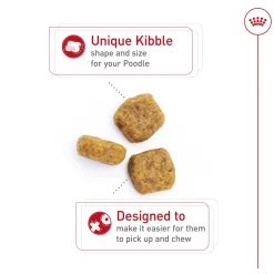 Breed Health Nutrition Poodle Adult Dog Food