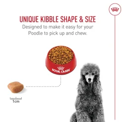 Breed Health Nutrition Poodle Adult Dog Food
