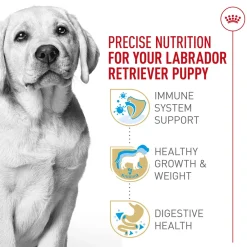Breed Health Nutrition Puppy Labrador Retriever Dog Food
