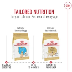 Breed Health Nutrition Puppy Labrador Retriever Dog Food