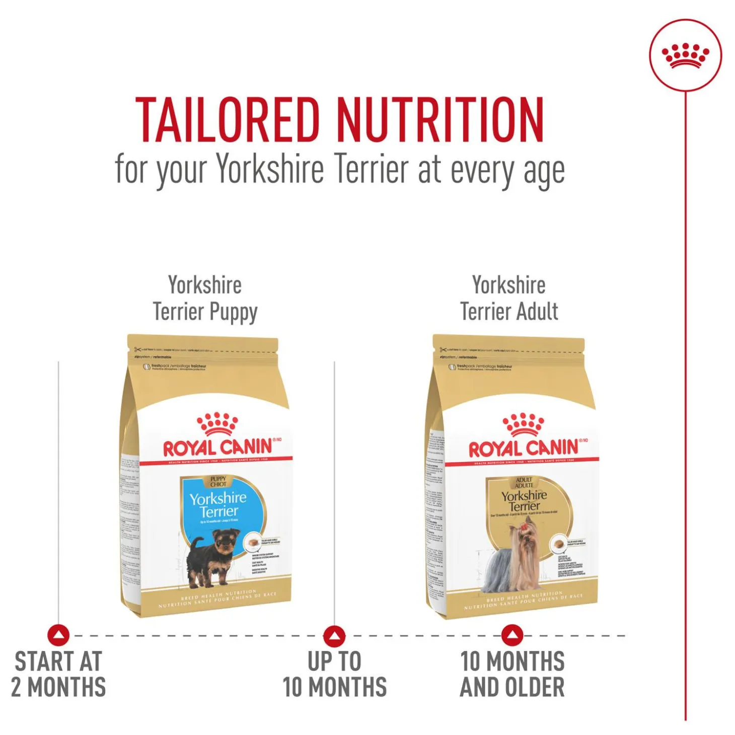 Breed Health Nutrition Yorkshire Terrier Adult Dog Food