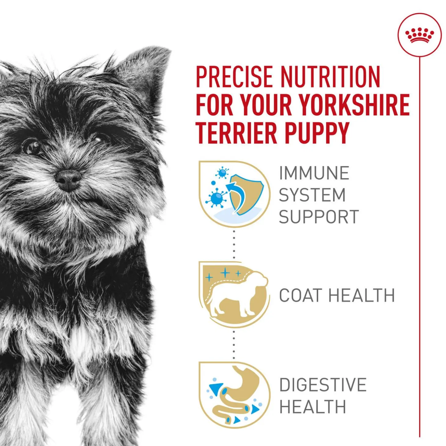 Breed Health Nutrition Yorkshire Terrier Puppy Dog Food