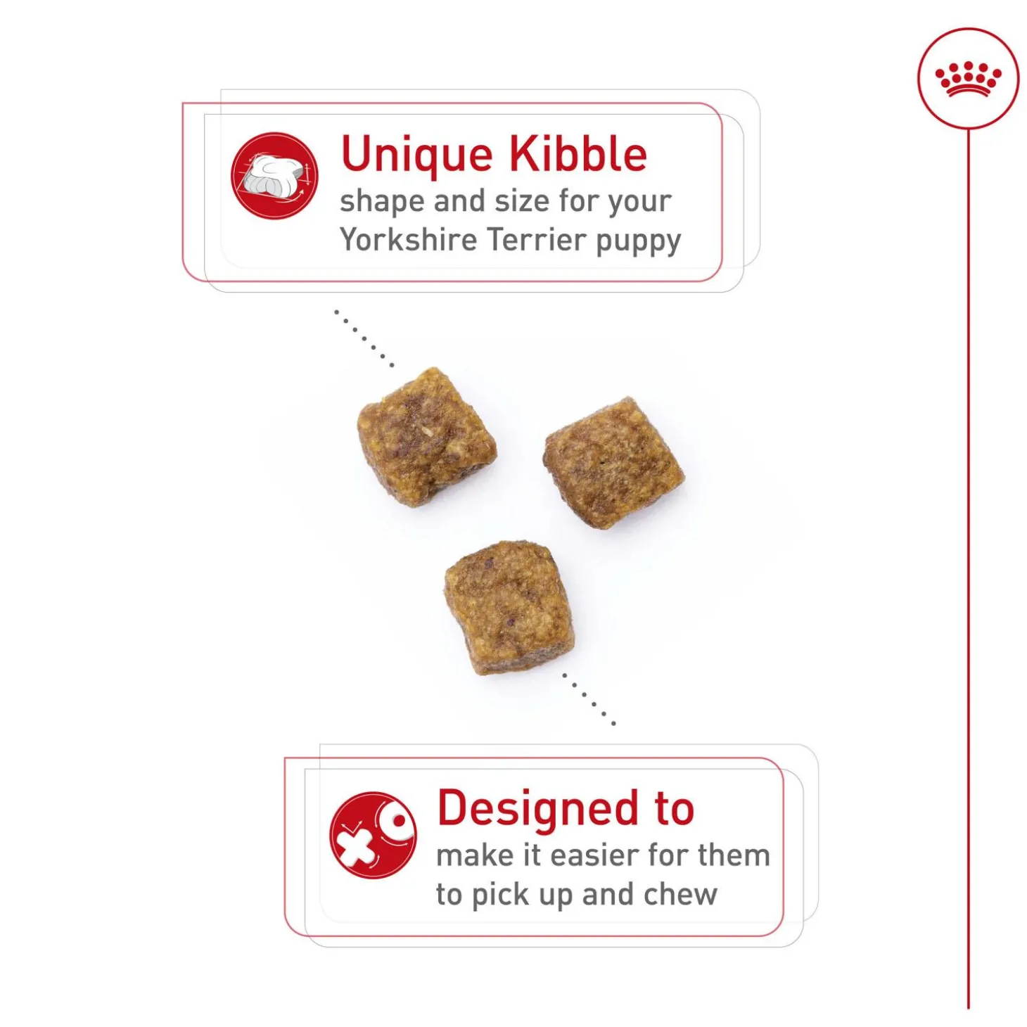 Breed Health Nutrition Yorkshire Terrier Puppy Dog Food