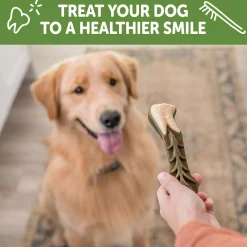 Brushzees Large Chews Dog Treats