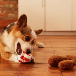 Bucket o'Fried Licken Dog Toy