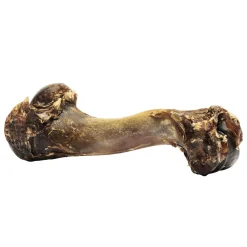 Bucky Funny Bone Dog Treat