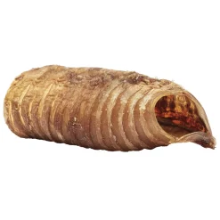 Bucky Trachs Dog Treat