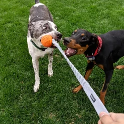 Bungee Handler - Orange