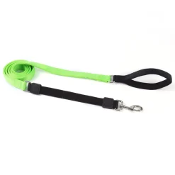 Bungee 1in Lime Green Dog Leash