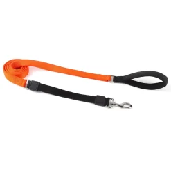 Bungee 1in Orange Dog Leash