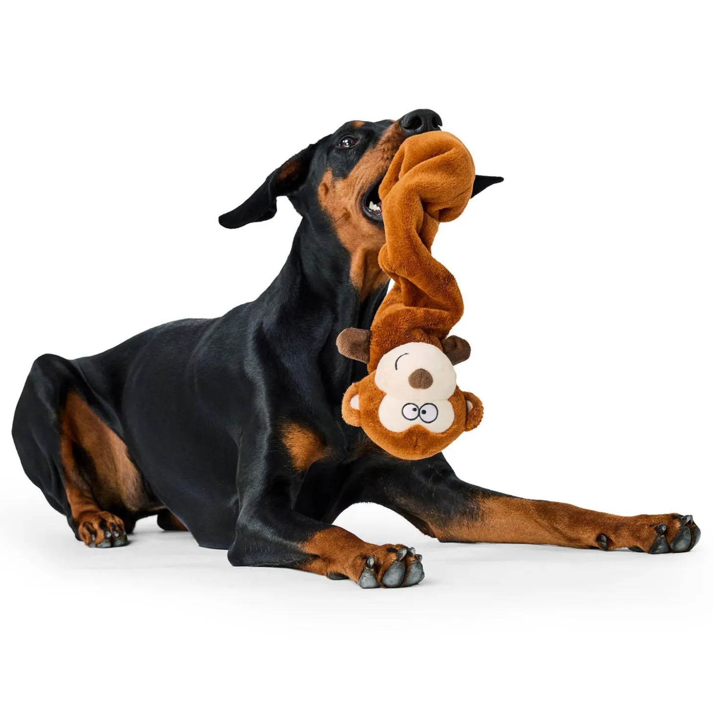 Bungee Monkey Dog Toy