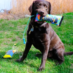 Bunji High-Viz Bumper Assorted Colours Dog Toy