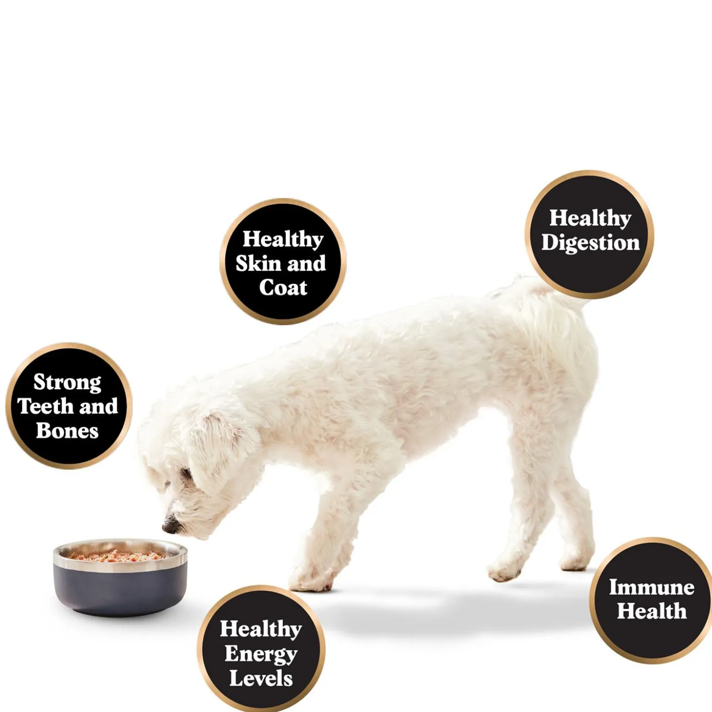 Butcher's Select Raw Turkey, Beef & Lamb Adult Dog Food