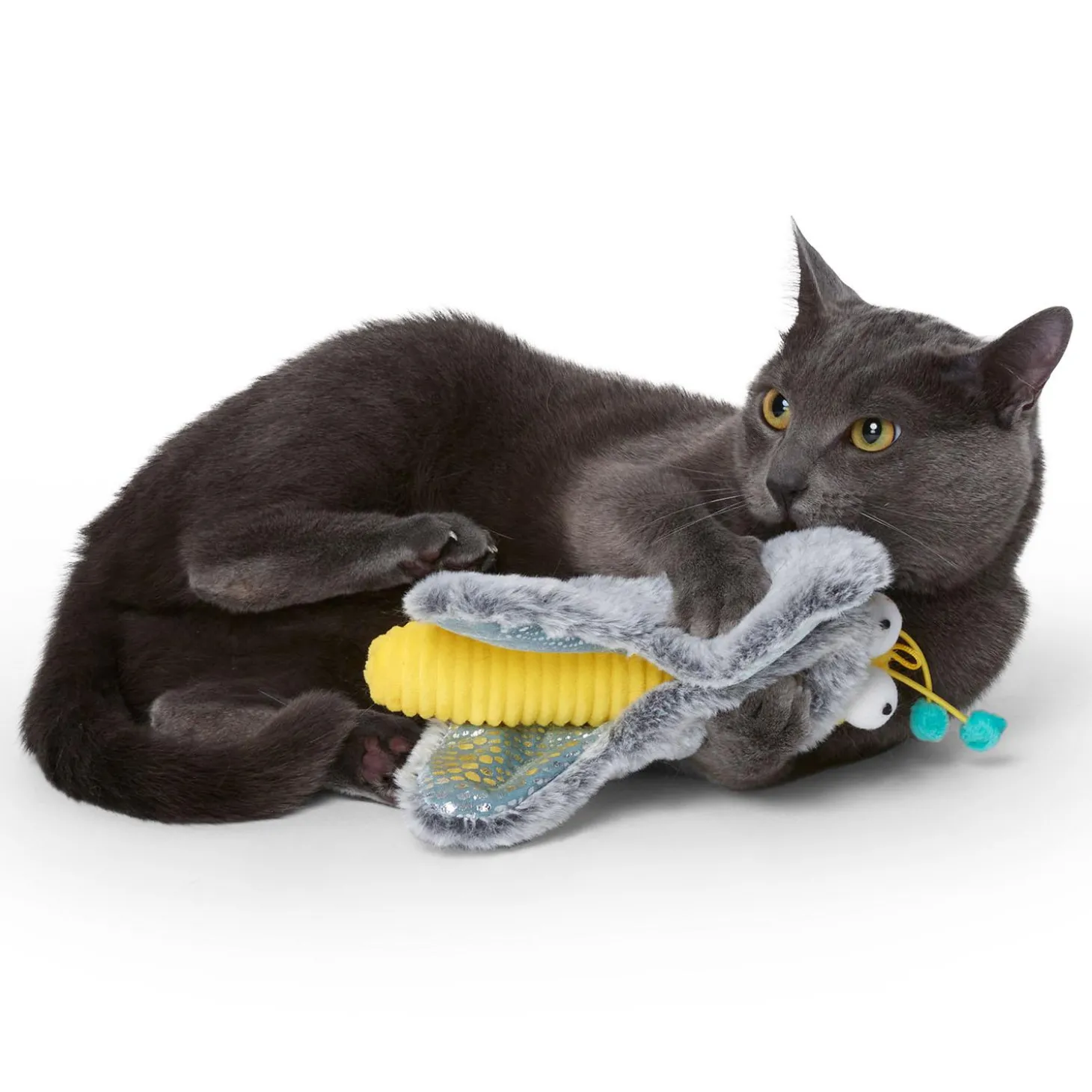 Butterfly Kicker Cat Toy