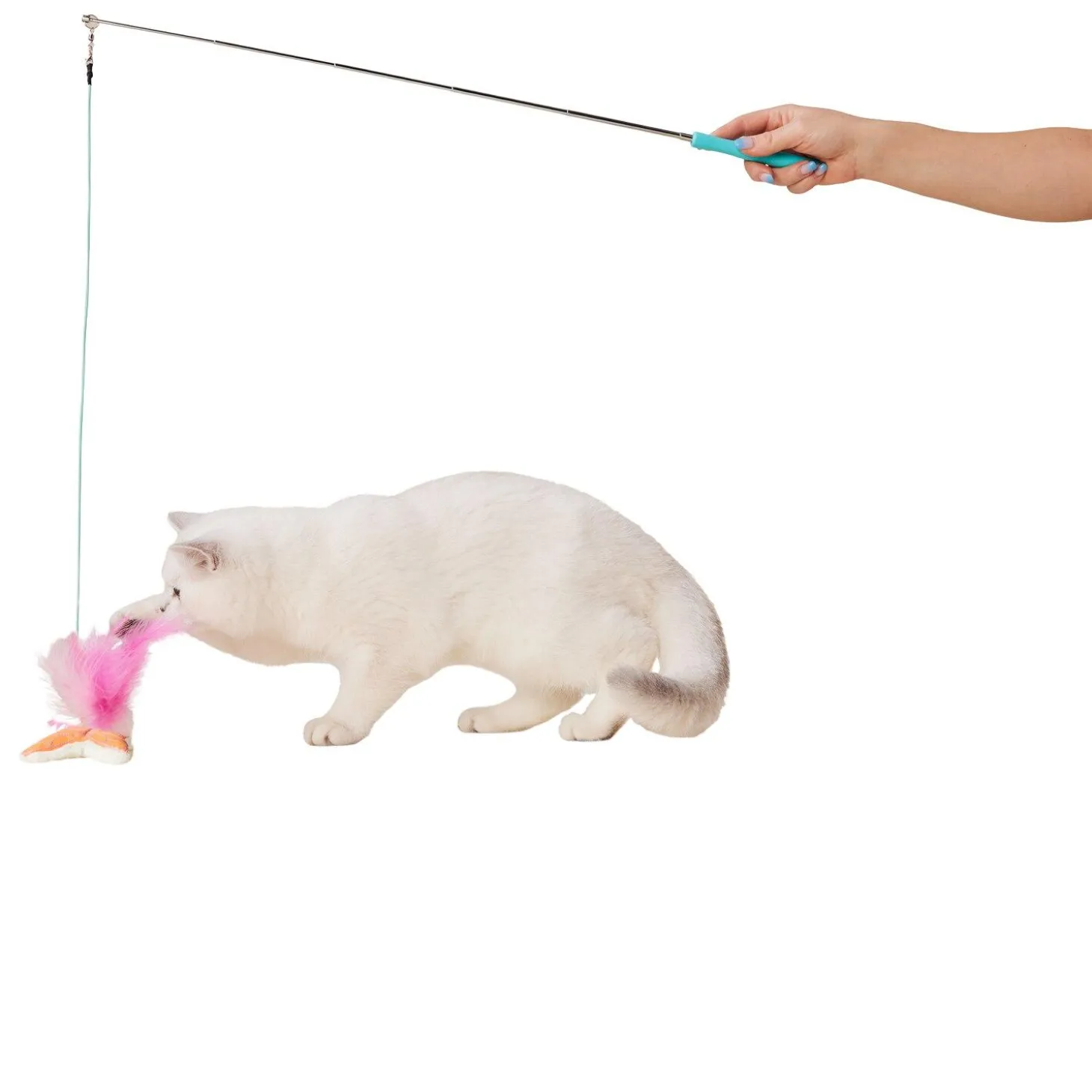 Butterfly Teaser Cat Toy