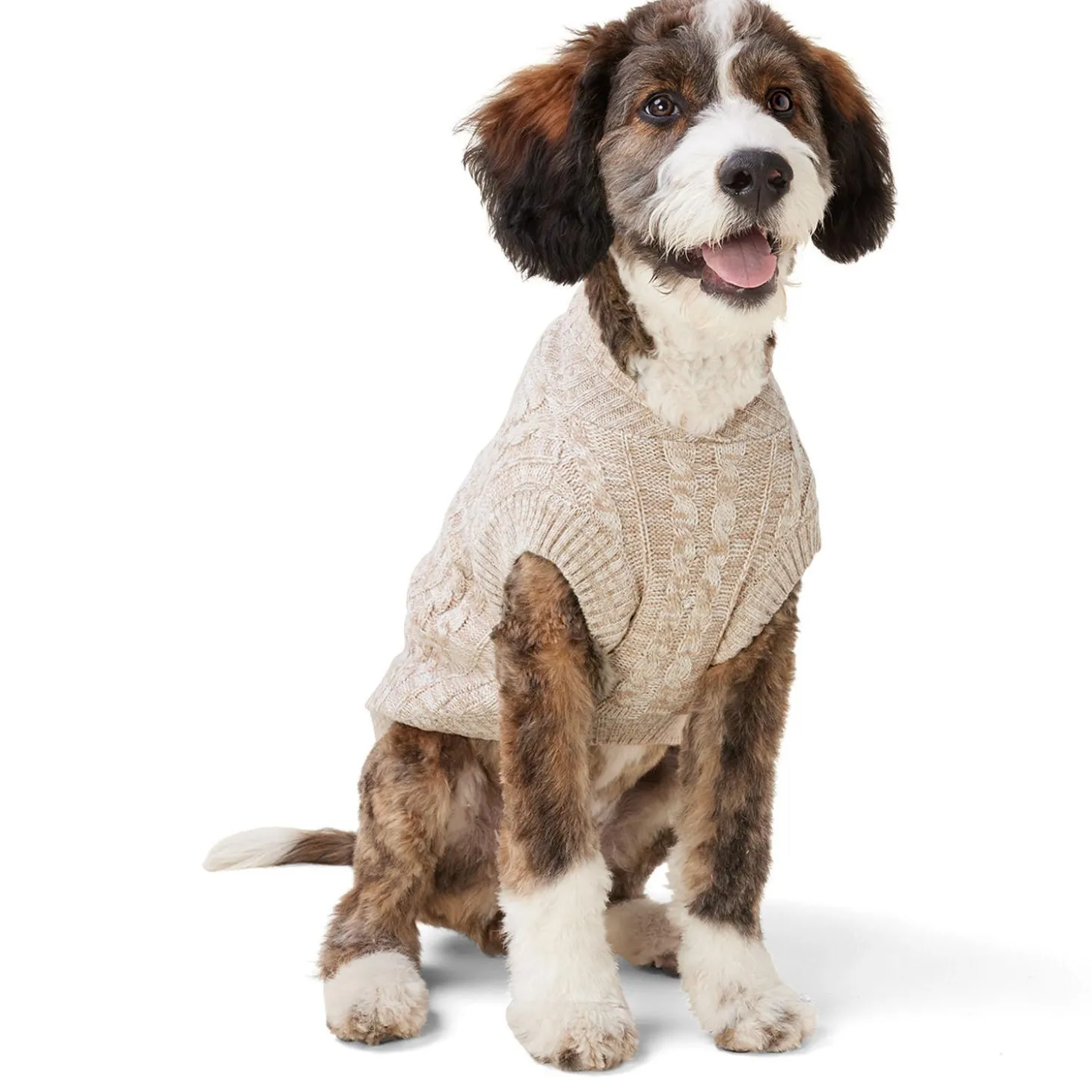 Cable Knit Oat Sweater