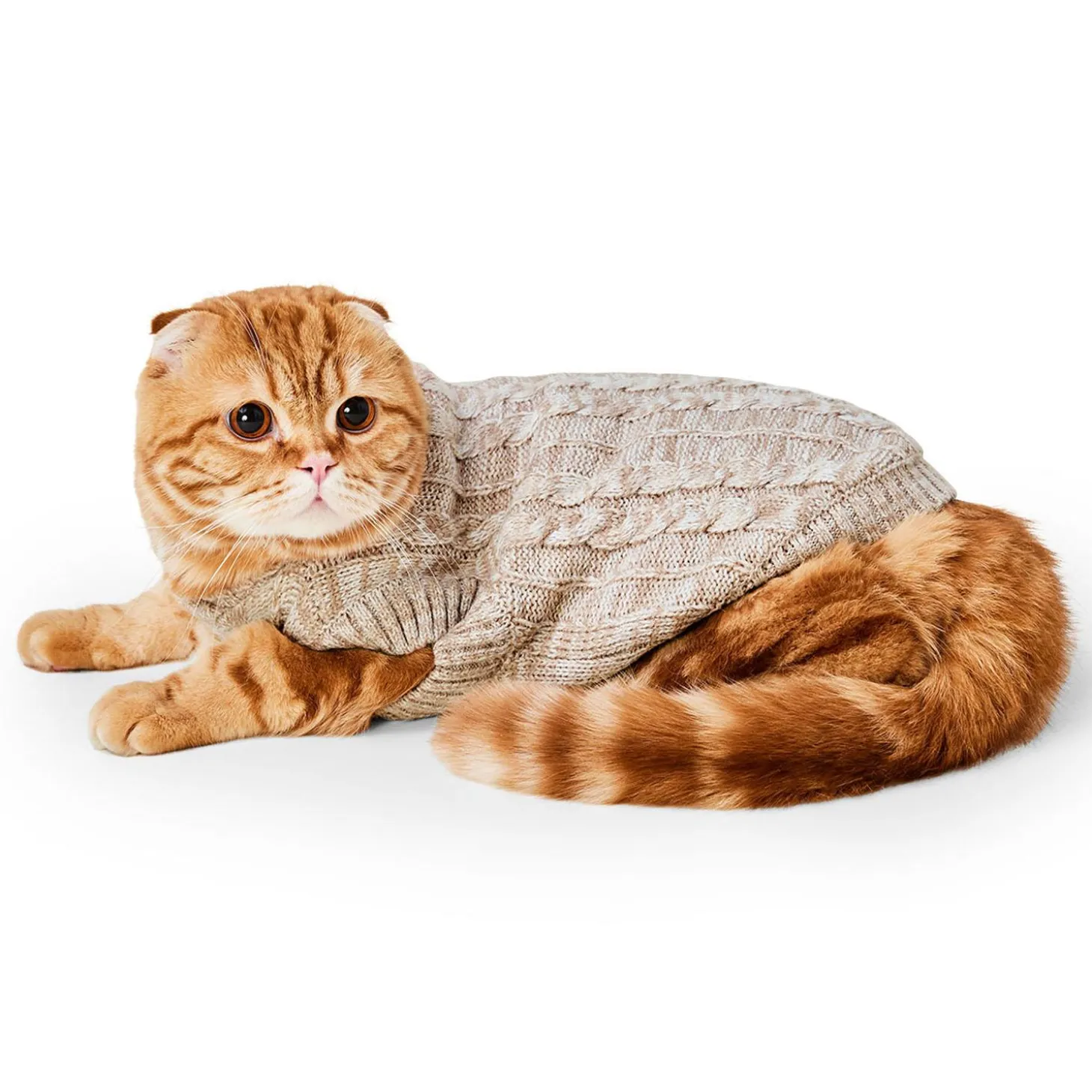 Cable Knit Oat Sweater