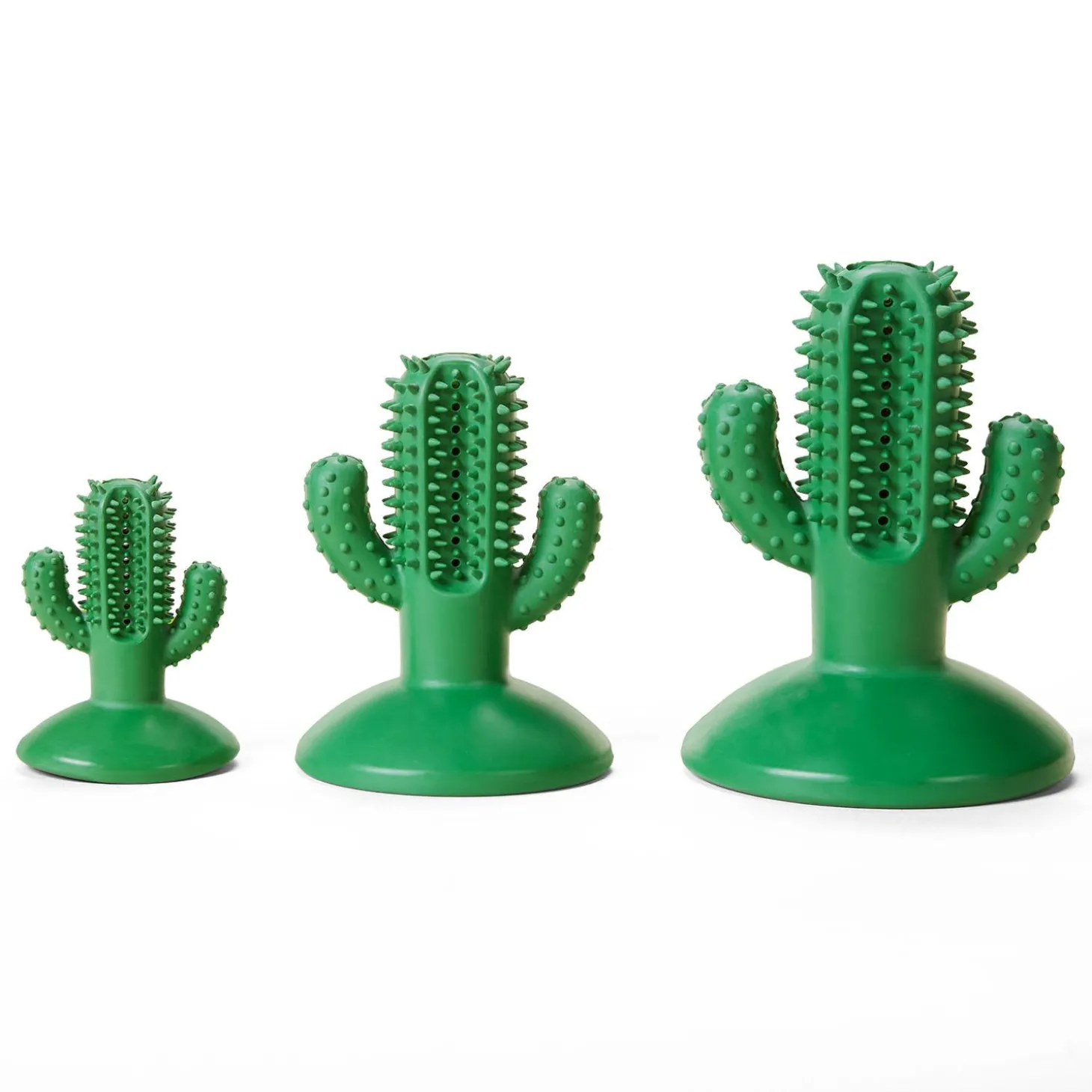 Cactus Suction Dog Toy
