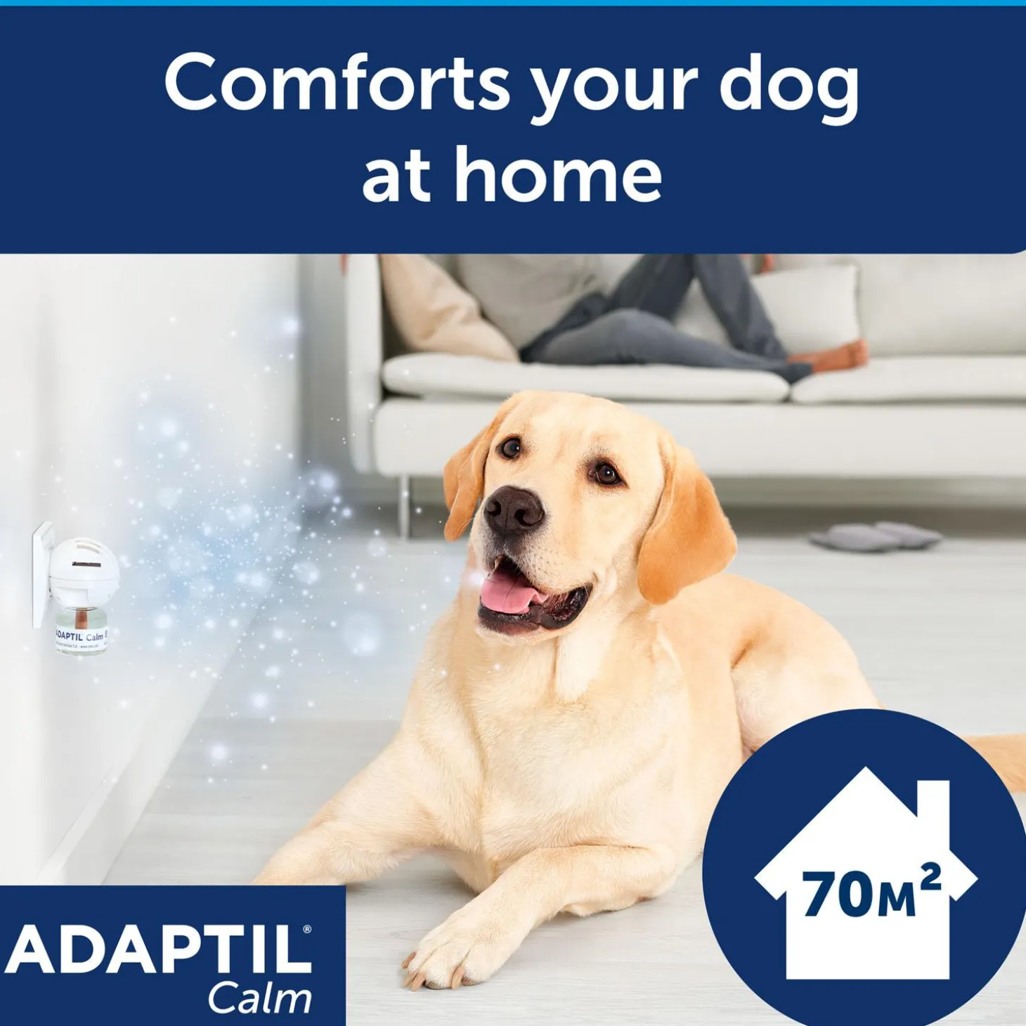 Calm Diffuser & Refill Starter Kit