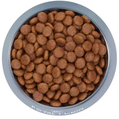 Canine Care Nutrition Digestive Care Medium Adult Dog Food